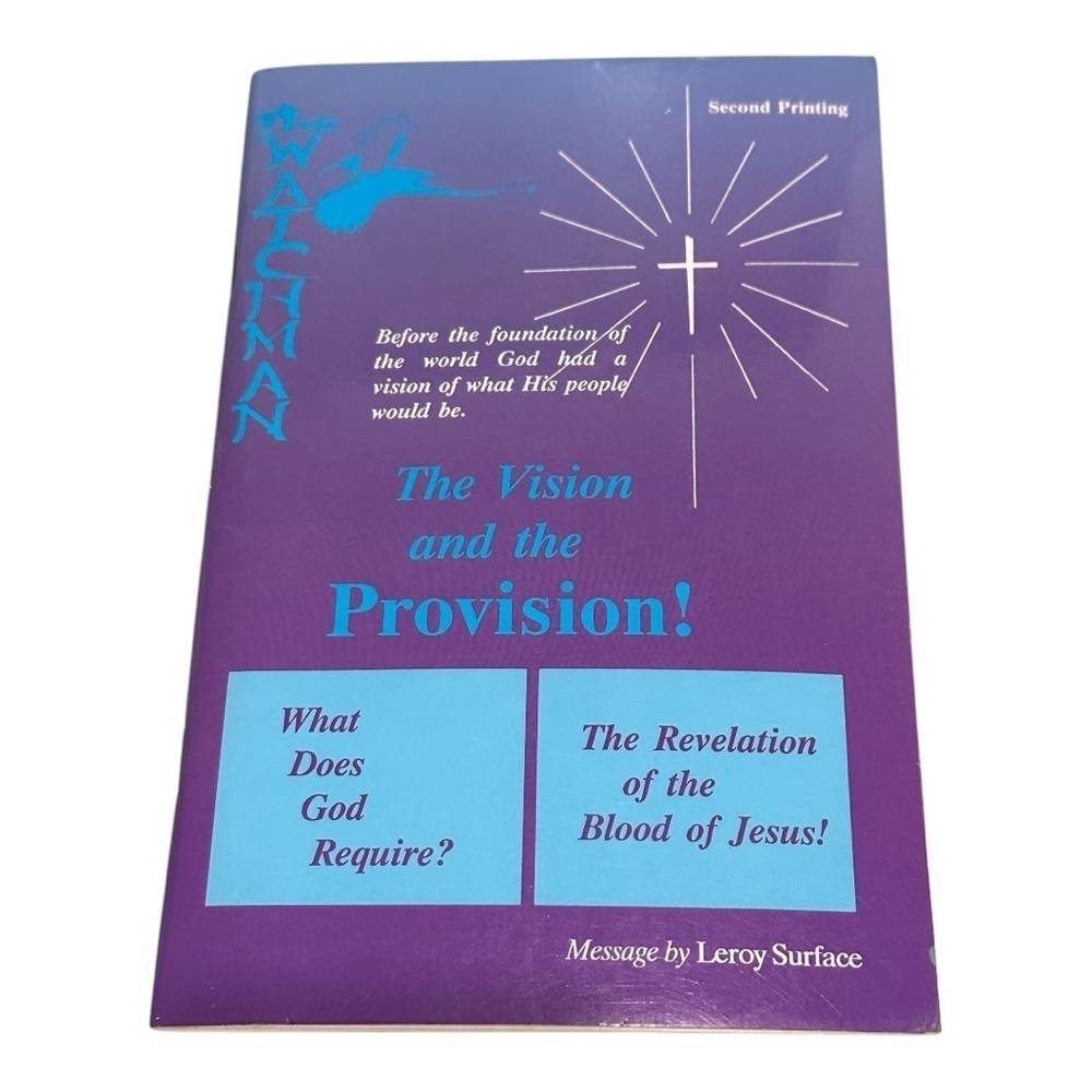The Vision And The Provision! Leroy Surface Paperback